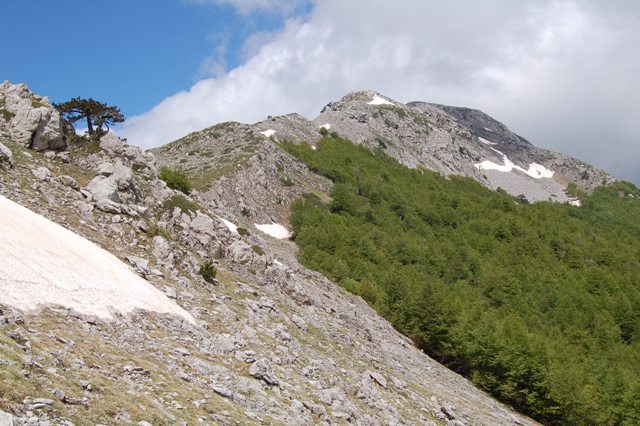 Parco Nazionale del Pollino