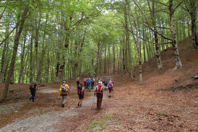 Parco Nazionale del Pollino