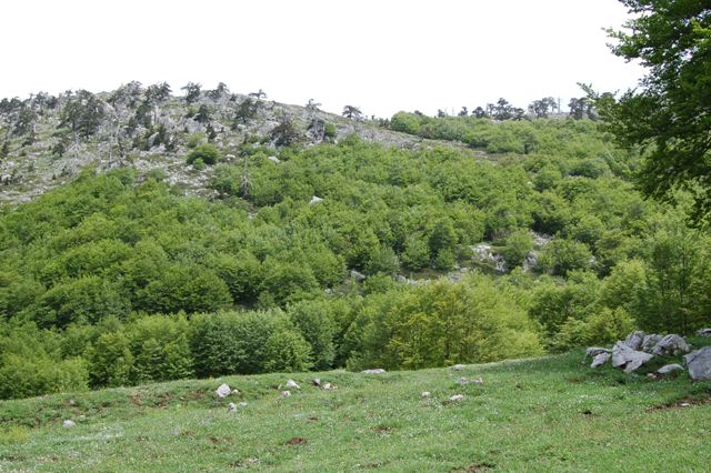 Parco Nazionale del Pollino