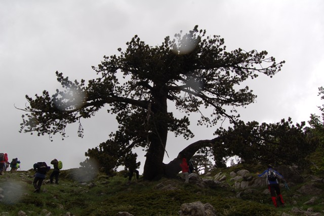 Parco Nazionale del Pollino