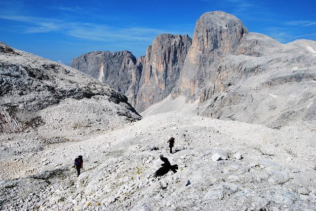 Pale di San Martino-rif. Pradidali