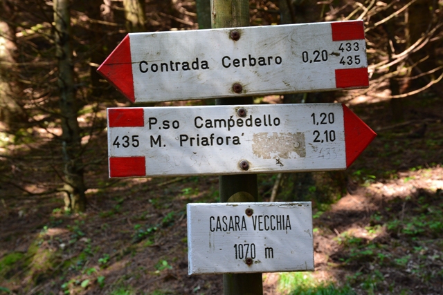 Monte Priafor - gruppo del Novegno