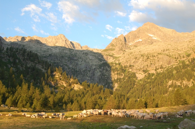 Alpi marettime rif. Valasco e Questa