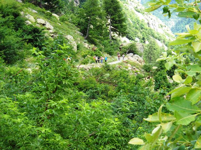 Alpi marettime rif. Valasco e Questa