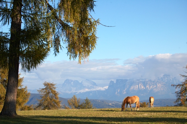 Altopiano del Salto