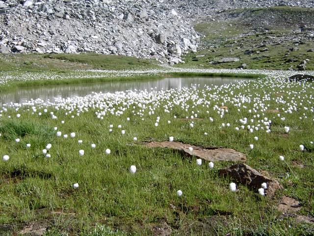 Valle d'Aosta Lago di San Grato