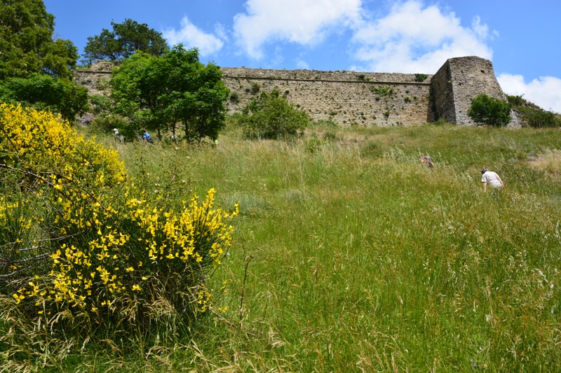 Rocca di San Leo e Maioletto