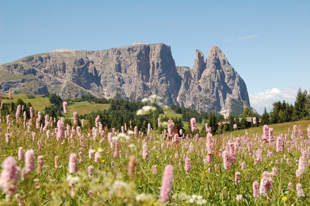 Alpe di Siusi