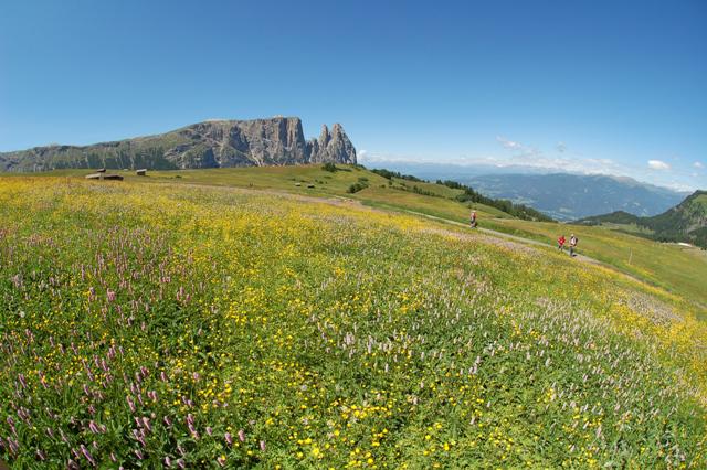 Alpe di Siusi