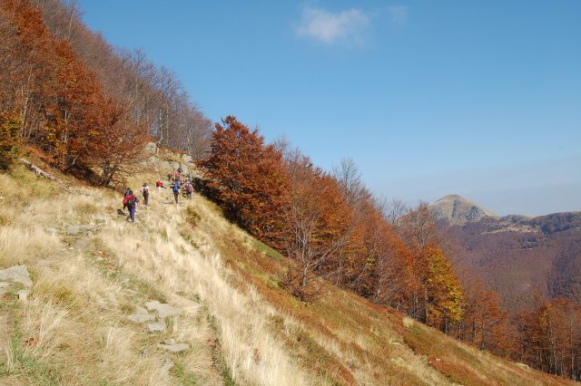 Lagosanto-San Pellegrino in Alpe