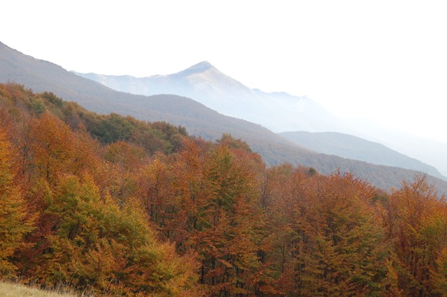 Alpe di Succiso
