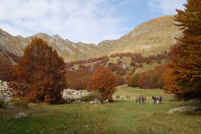 Alpe di Succiso