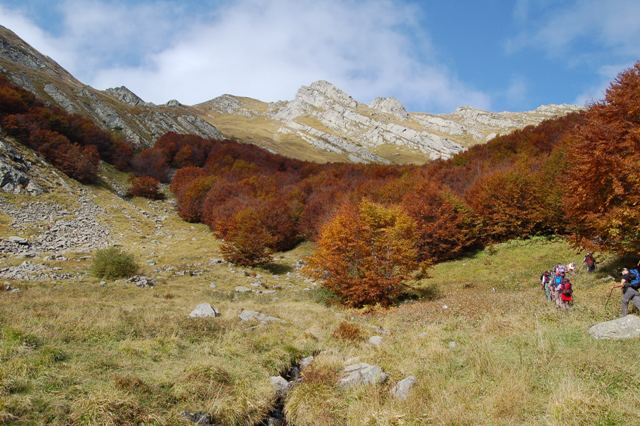 Alpe di Succiso