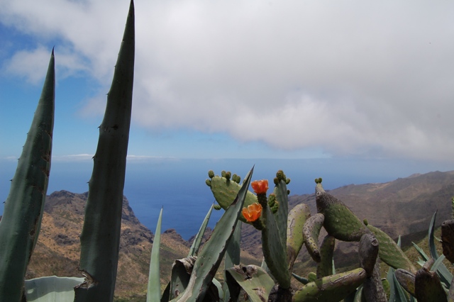 Tenerife - Pico del Teide