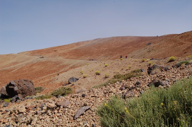 Tenerife - salita al rif. Altavista