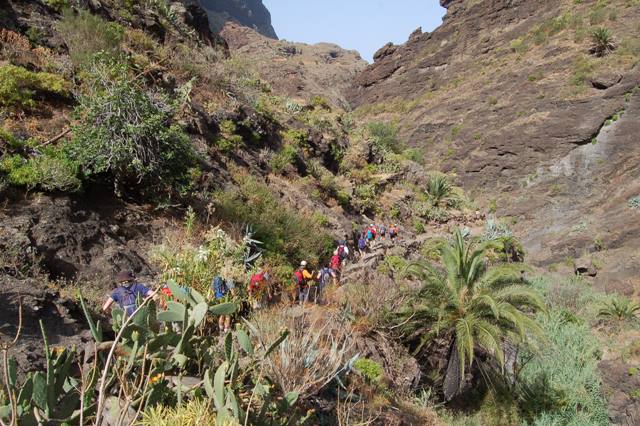 Tenerife - Barranco di Masca