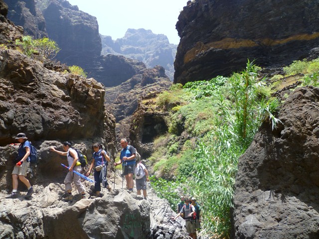 Tenerife - Barranco di Masca