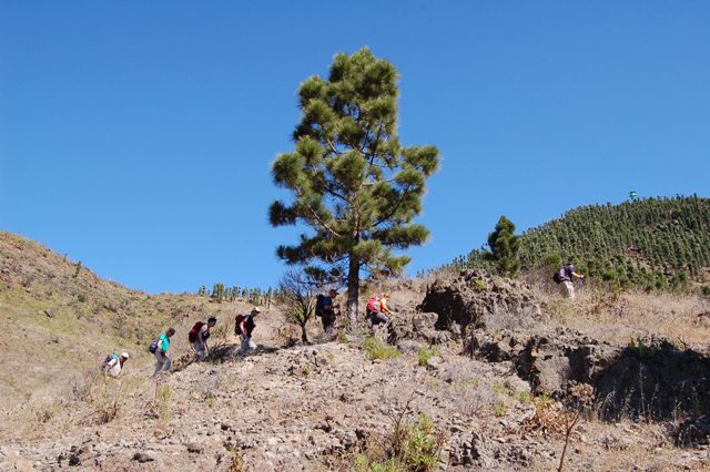 Tenerife - Salita cresta del Teno