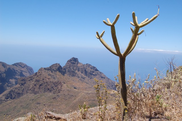 Tenerife - Pico del Teide