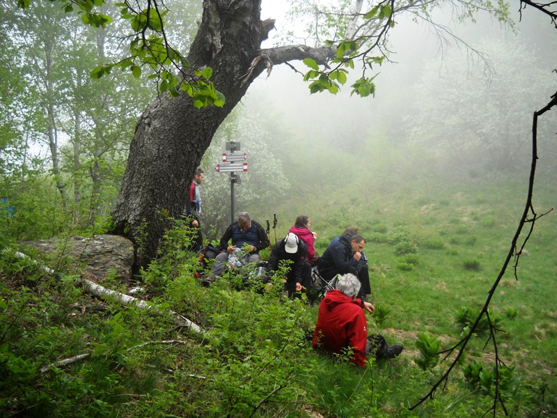 Il triangolo Lariano