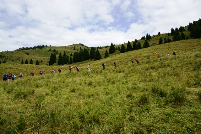 Passo Brocon - Trodo dei fiori