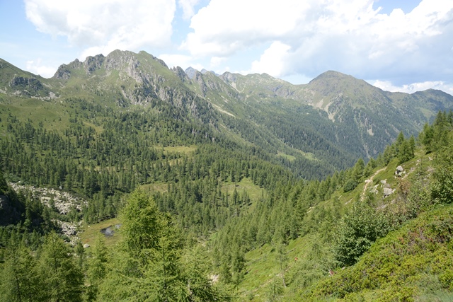 Passo Brocon - Trodo dei fiori