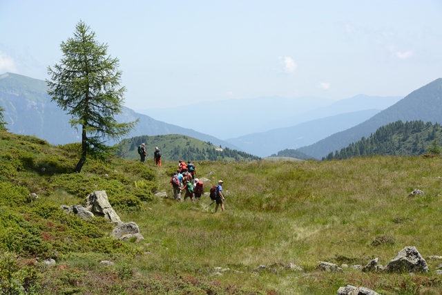 Passo Brocon - Trodo dei fiori