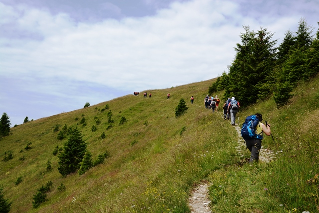 Passo Brocon - Trodo dei fiori