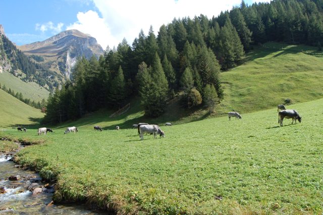 Val di Vizze - rifugio Europa