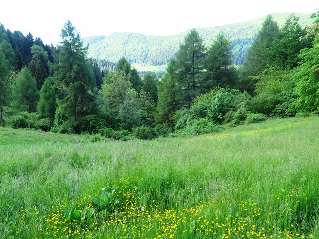 Valmorel-prealpi bellunesi