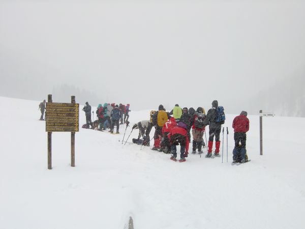 Val Venegia