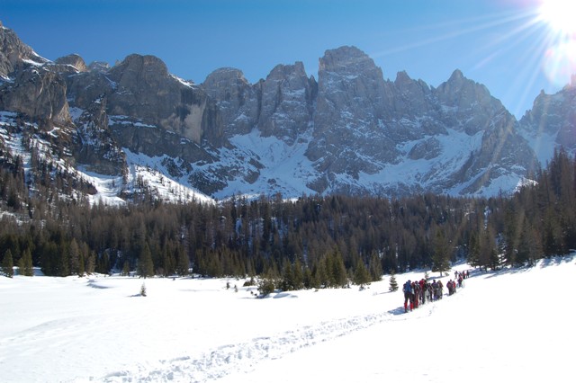 Valvenegia