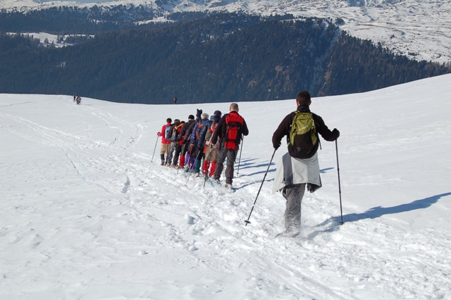 Valvenegia
