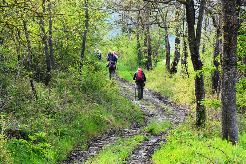 Orrido di Gea - Villa d'Aiano