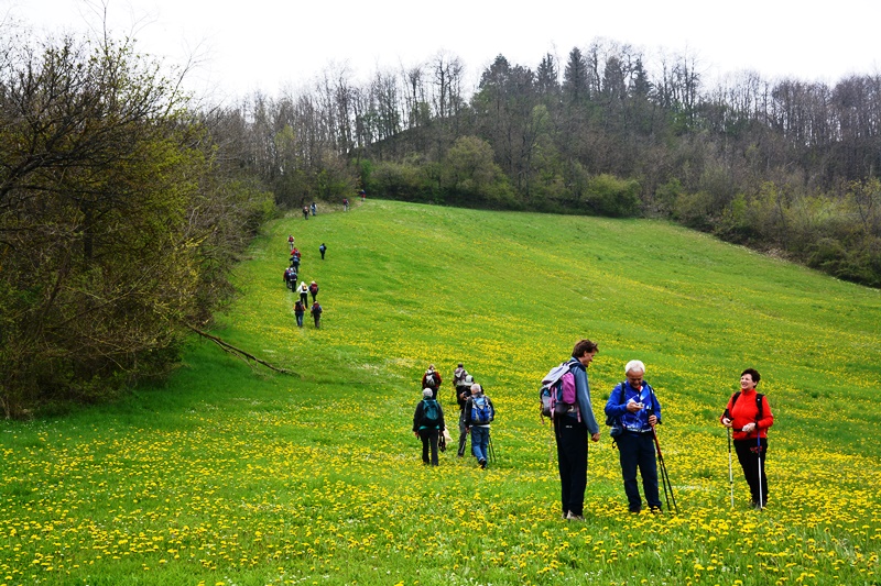 Orrido di Gea - Villa d'Aiano