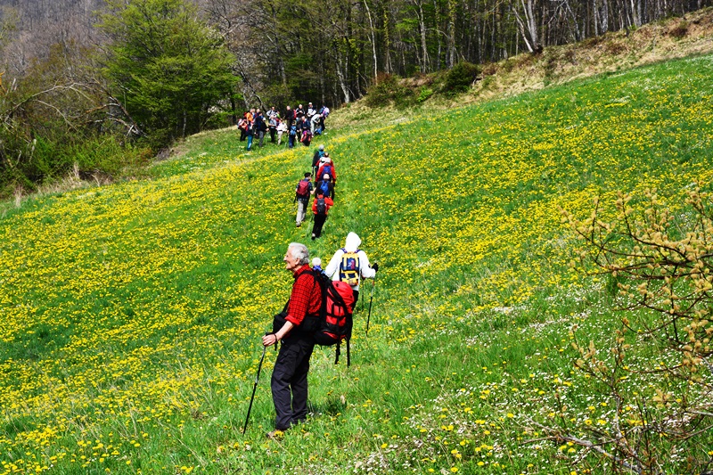 Orrido di Gea - Villa d'Aiano