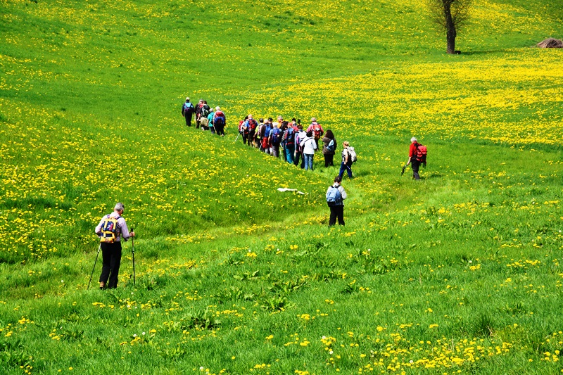 Orrido di Gea - Villa d'Aiano