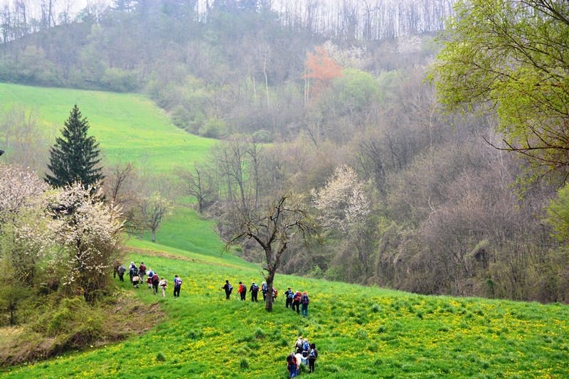 Orrido di Gea - Villa d'Aiano