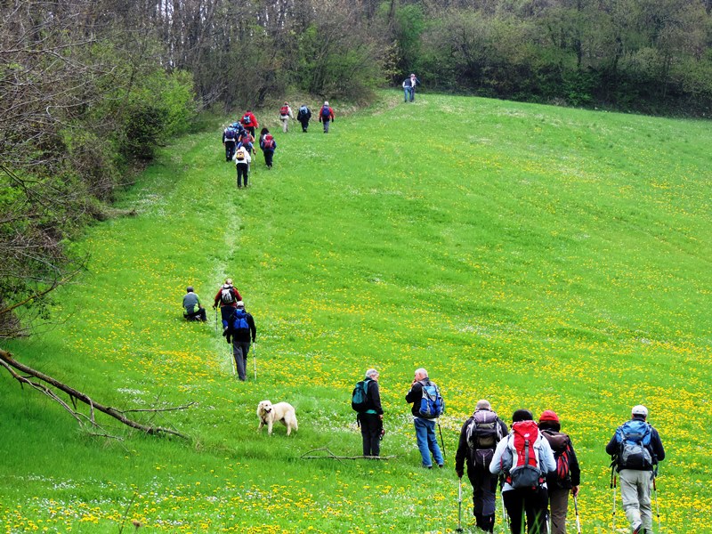 Orrido di Gea - Villa d'Aiano