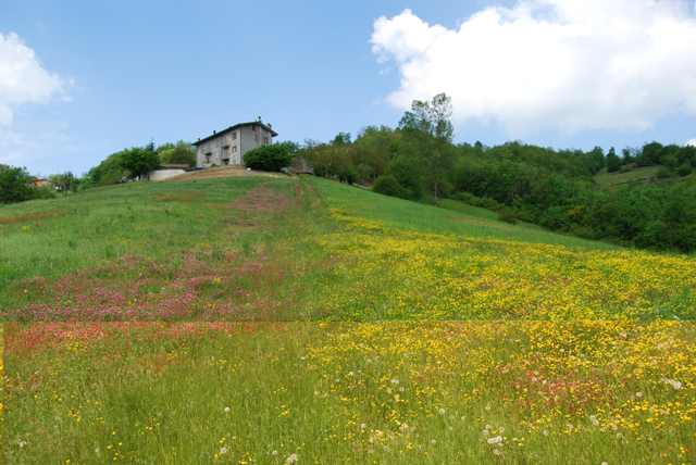 Villa d'Aiano