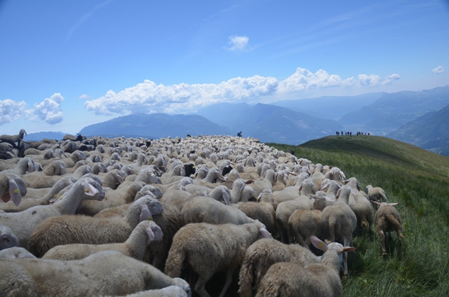 Traversata dalle Viote al monte Stivo